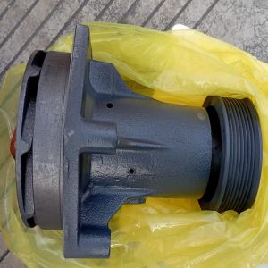 WD10G220E21 Water pump